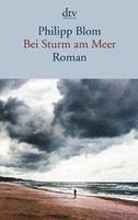 Bei Sturm am Meer 1