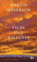 Martin Mosebach - Taube und Wildente, Häftad