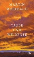 Taube und Wildente 1