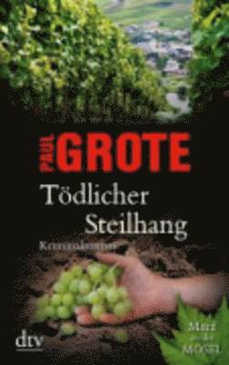 bokomslag Tödlicher Steilhang