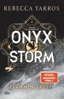 bokomslag Onyx Storm - Flammengeküsst