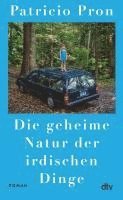 bokomslag Die geheime Natur der irdischen Dinge