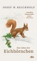 bokomslag Das Leben der Eichhörnchen