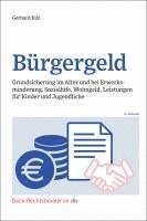 bokomslag Bürgergeld