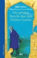 bokomslag Der geheime Bericht über den Dichter Goethe, der eine Prüfung auf einer arabischen Insel bestand
