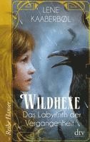 bokomslag Wildhexe 05 - Das Labyrinth der Vergangenheit