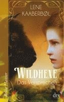Lene Kaaberbøl - Wildhexe 06, Häftad