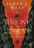 Sarah J. Maas - Throne of Glass 3 - Erbin des Feuers, Häftad