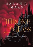 Sarah J. Maas - Throne of Glass 4 - Königin der Finsternis, Häftad