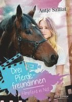 bokomslag Drei Pferdefreundinnen - Filmpferd in Not
