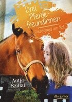 Drei Pferdefreundinnen - Diebesjagd am Set 1