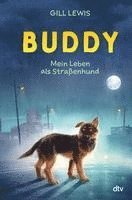 bokomslag Buddy - Mein Leben als Straßenhund