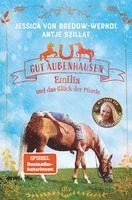 bokomslag Gut Aubenhausen - Emilia und das Glück der Pferde
