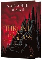 bokomslag Throne of Glass - Königin der Finsternis