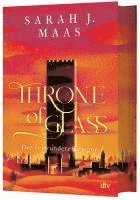 bokomslag Throne of Glass - Der verwundete Krieger