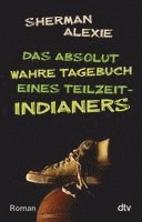 bokomslag Das absolut wahre Tagebuch eines Teilzeit-Indianers