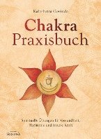 bokomslag Chakra-Praxisbuch