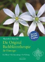 bokomslag Die Original Bachblütentherapie für Einsteiger