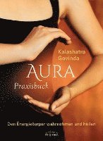 bokomslag Aura Praxisbuch