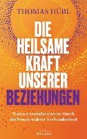 bokomslag Die heilsame Kraft unserer Beziehungen