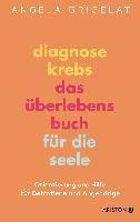 Diagnose Krebs - Das Überlebensbuch für die Seele 1