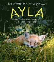 bokomslag Ayla - meine ungewöhnliche Freundschaft mit einem jungen Fuchs