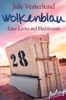 bokomslag Wolkenblau - Eine Liebe auf Hiddensee