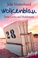 bokomslag Wolkenblau - Eine Liebe auf Hiddensee