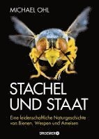 Stachel und Staat 1