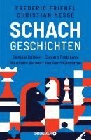 bokomslag Schachgeschichten