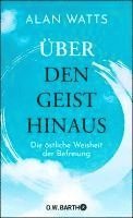 bokomslag Über den Geist hinaus