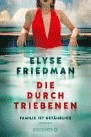 Elyse Friedman - Die Durchtriebenen, Häftad