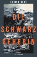 bokomslag Die Schwarzgeherin