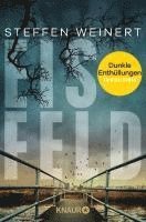 bokomslag Eisfeld - Dunkle Enthüllungen