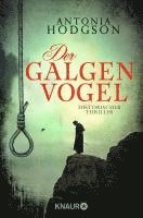 bokomslag Der Galgenvogel