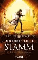 bokomslag Der Dreizehnte Stamm