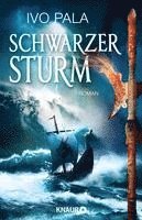Schwarzer Sturm  - Dark World Saga Band 2 1