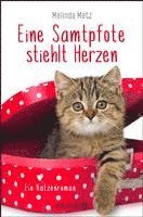 Melinda Metz - Eine Samtpfote stiehlt Herzen, Häftad