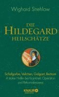 bokomslag Die Hildegard-Heilschätze