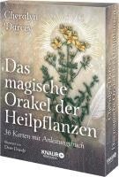 bokomslag Das magische Orakel der Heilpflanzen