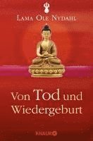 bokomslag Von Tod und Wiedergeburt