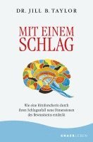 bokomslag Mit einem Schlag