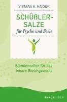 bokomslag Schüßler-Salze für Psyche und Seele