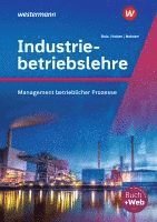 bokomslag Industriebetriebslehre - Management betrieblicher Prozesse