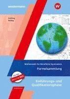 Mathematik für Berufliche Gymnasien. Formelsammlung. Ausgabe für das Kerncurriculum 2018. Niedersachsen 1