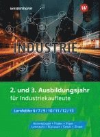 bokomslag Industrie. 2. und 3. Ausbildungsjahr  Schulbuch