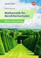 bokomslag Mathematik für Berufsfachschulen. Schülerband. Algebra und Geometrie