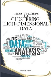 bokomslag Interesting patterns for clustering high-dimensional data