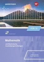 bokomslag Mathematik für Fachoberschulen und Berufsoberschulen. Klasse 12. Schulbuch