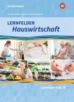 Alexander Fuhr, Martina Diede, Christa Walgenbach, Barbara Ruhfus-Hartmann, Doris Schwetje, Christine Maier - Lernfelder Hauswirtschaft. 2. und 3. Ausbildungsjahr: Schulbuch, Inbunden